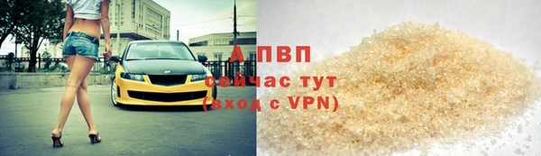 каннабис Ессентукская