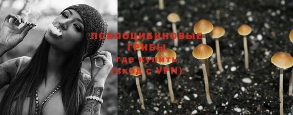 стафф Снежинск