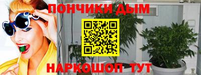 шишки Апшеронск