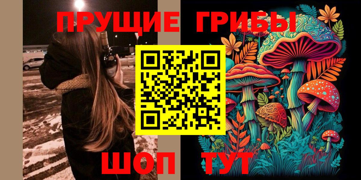 Галлюциногенные грибы Psilocybine cubensis Фурманов