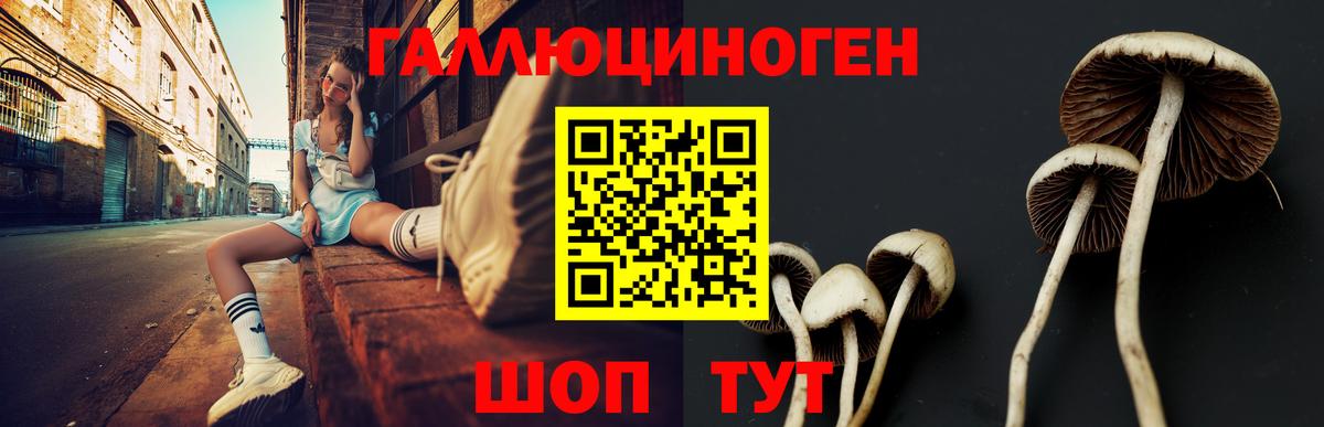 Галлюциногенные грибы мицелий  Псилоцибиновые грибы Cubensis  Вход с VPN  Фурманов 